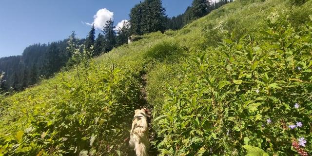 The Trail Makers