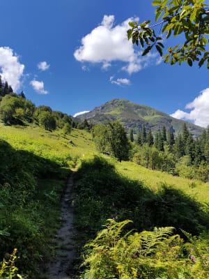 Lamadugh Hike
